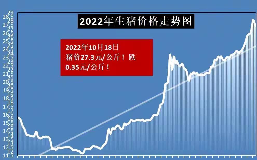 全國(guó)豬價(jià)最新行情分析報(bào)告