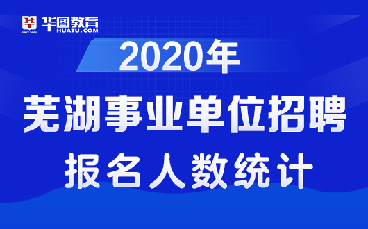 蕪湖最新招聘信息及招聘動態(tài)深度解析