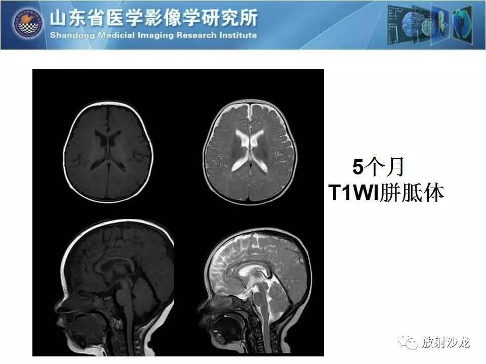 2024新奧資料免費精準,動態(tài)詞語解釋落實_MR48.675