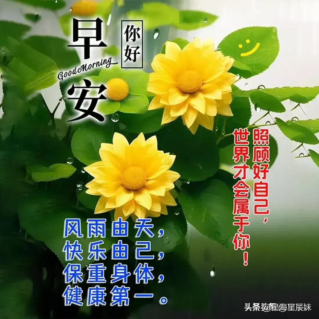 2024年天天彩資料免費大全,數(shù)據(jù)導(dǎo)向策略實施_優(yōu)選版42.631