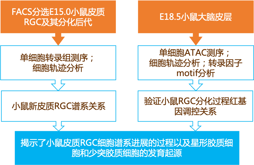 2024新奧正版資料免費提供,廣泛的解釋落實方法分析_復古款13.905