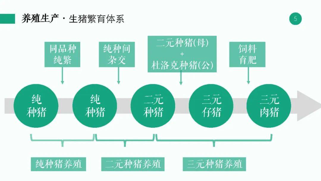 新澳精準(zhǔn)資料大全,平衡性策略實(shí)施指導(dǎo)_V219.380