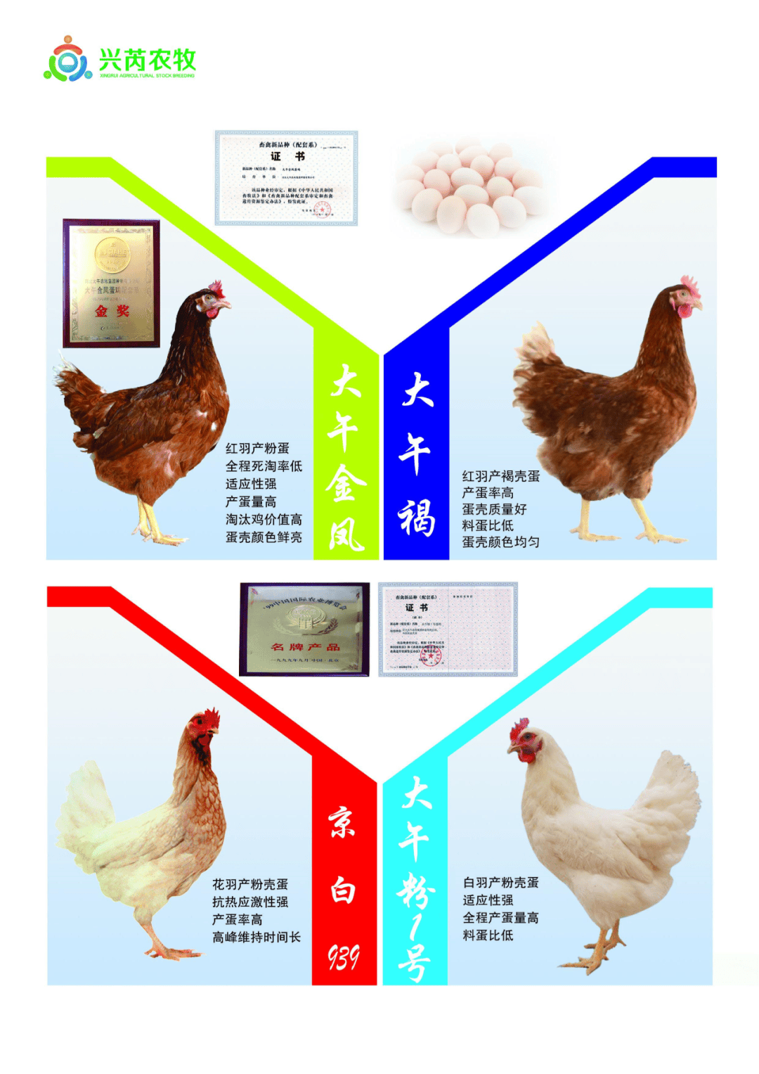 2024新澳精準(zhǔn)資料大全,正確解答落實(shí)_桌面款90.939