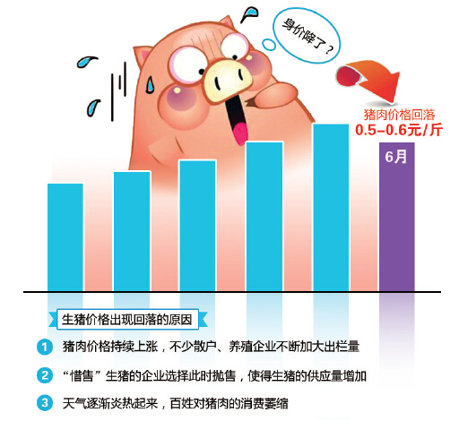 大慶生豬最新價(jià)格走勢(shì)及分析影響因素