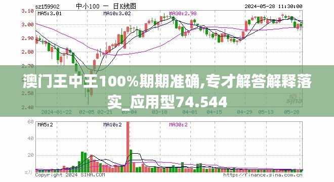 新澳門王中王100%期期中,實地驗證策略_8K53.523