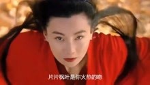 鄭源歌曲在線聽，音樂力量與互聯(lián)網魔力的交融