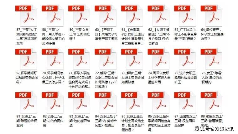 2024新澳正版免費資料大全,全面解答解釋落實_2DM94.619