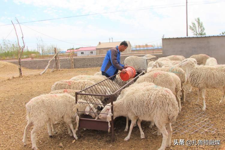 扎魯特在線房屋出租，全方位租賃服務(wù)平臺