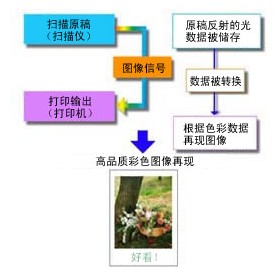 新澳天天彩免費(fèi)資料大全特色,完善的執(zhí)行機(jī)制解析_HDR版26.937