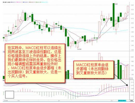 新澳門出今晚最準(zhǔn)確一肖,實(shí)踐分析解析說明_潮流版86.163