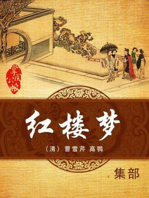 紅樓夢(mèng)電子書在線閱讀，跨越時(shí)空的經(jīng)典傳世之作