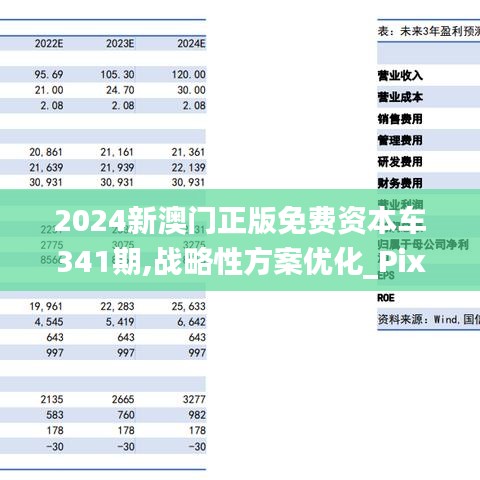 2024新澳門正版免費資本車297,長期性計劃定義分析_LT10.960