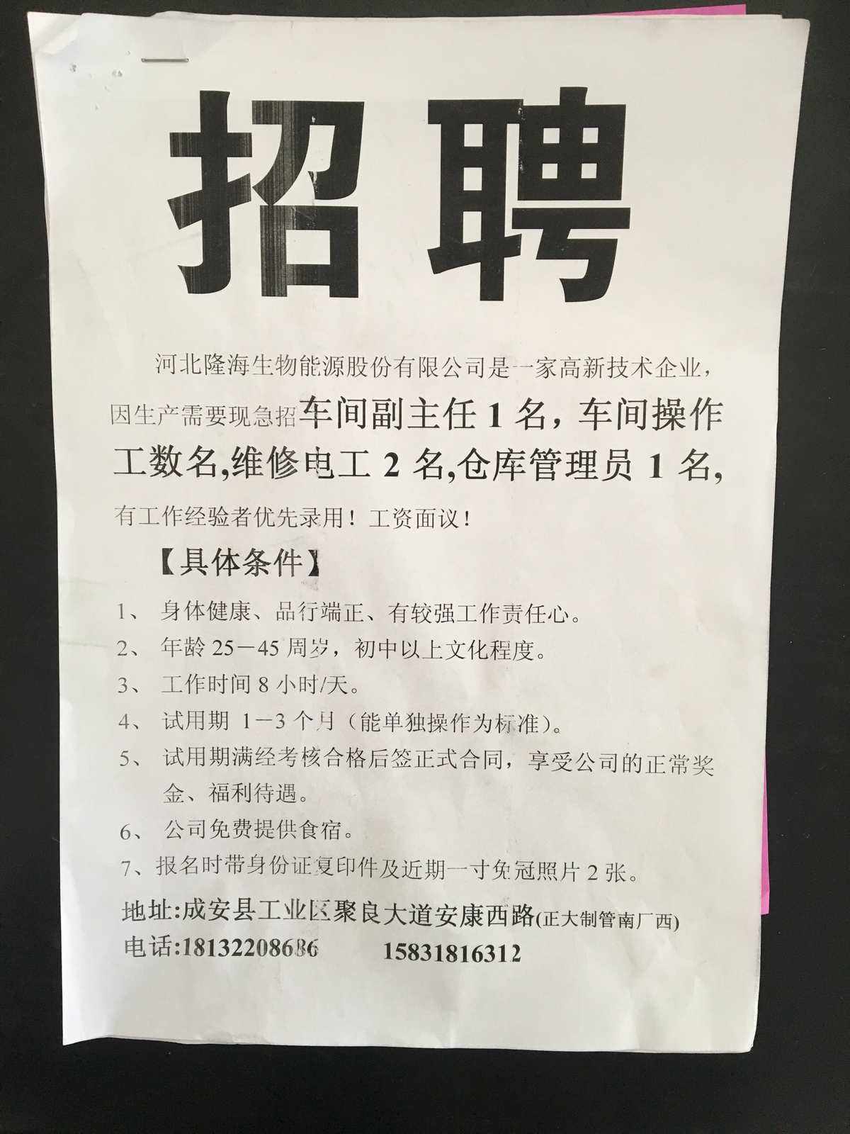 新泰新汶最新招聘動(dòng)態(tài)與職業(yè)機(jī)會(huì)深度探討