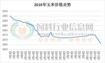 山東聊城玉米價格動態(tài)分析與市場趨勢預(yù)測