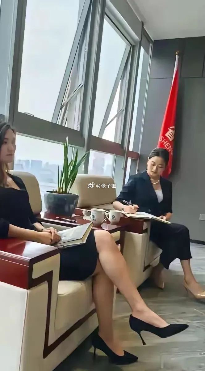 職場女性的崛起與挑戰(zhàn)，攀上女領(lǐng)導最新更新之路