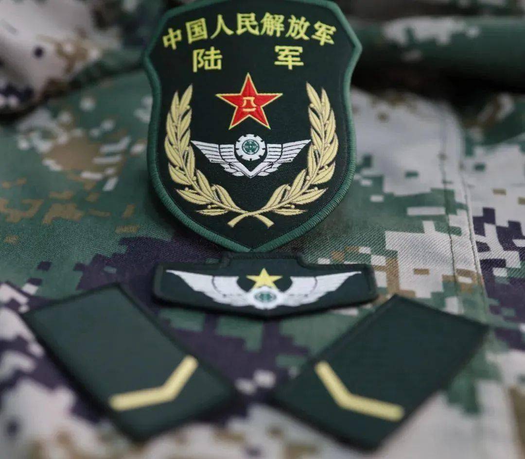 新時(shí)代軍威與榮耀的象征，最新陸軍標(biāo)志圖片展示