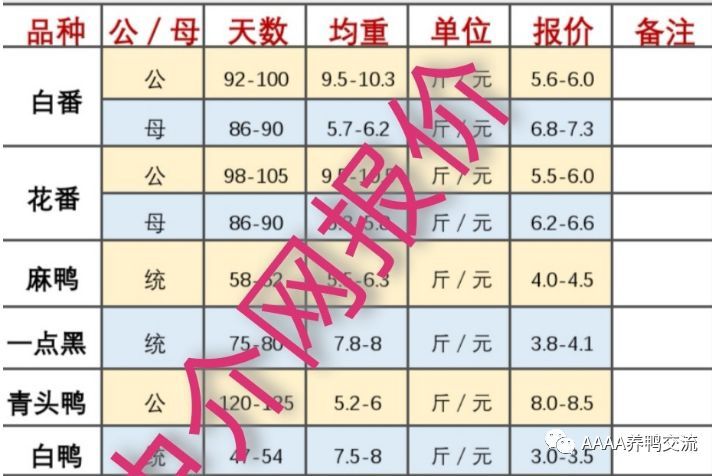 廣東今日毛鴨價格動態(tài)分析與趨勢預(yù)測